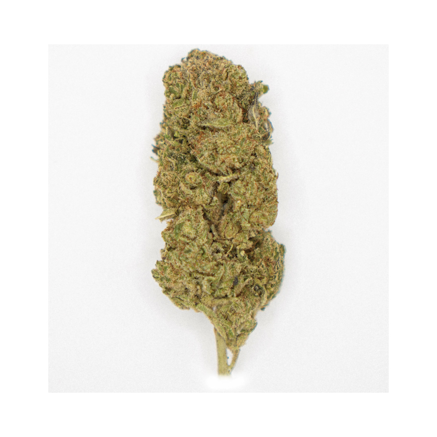 LONDON CAKE 1 G