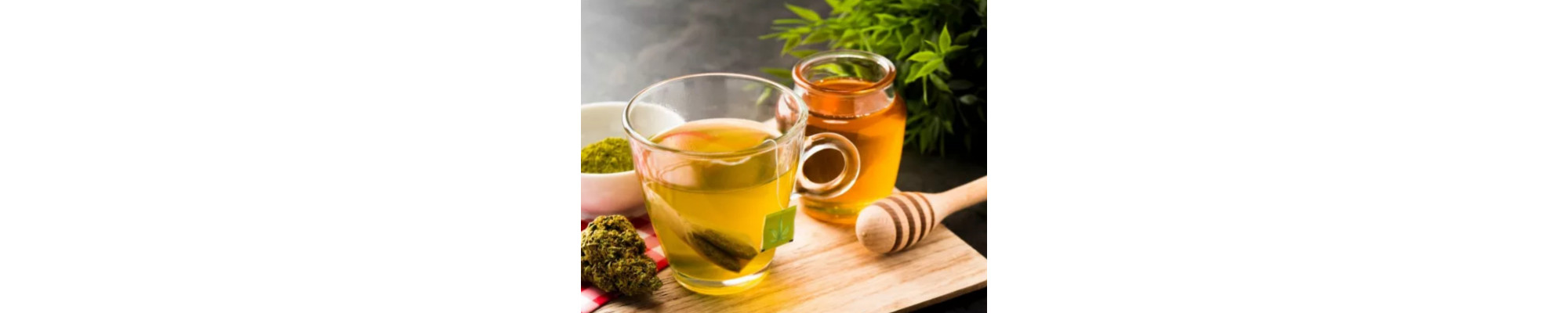 TÉ - INFUSIONES